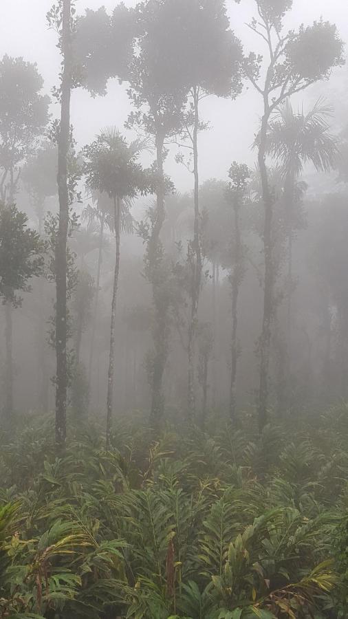 فندق Tree Blanche مونار المظهر الخارجي الصورة