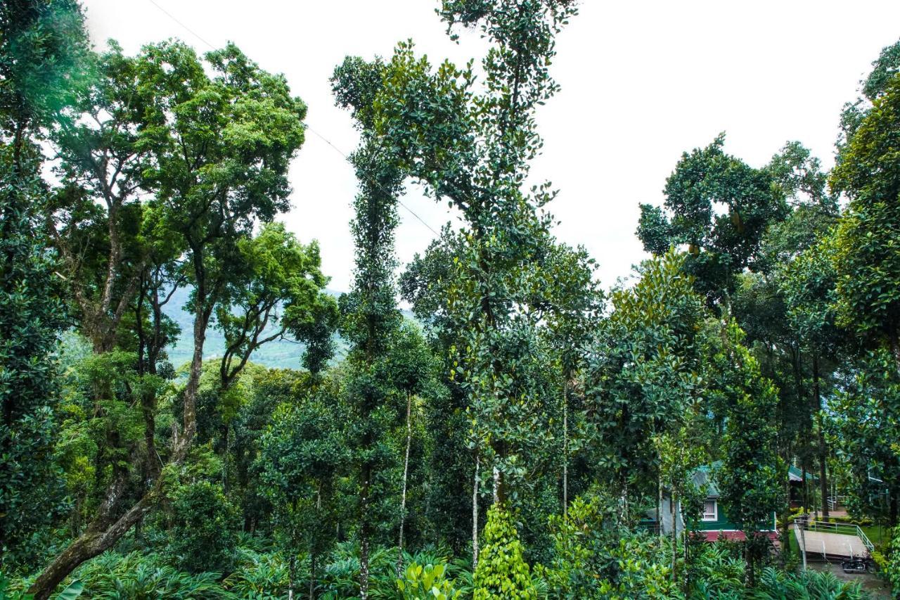 فندق Tree Blanche مونار المظهر الخارجي الصورة